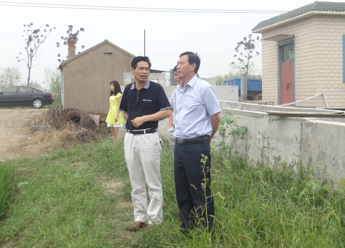 颜主任一行考察明光市潘村湖农场